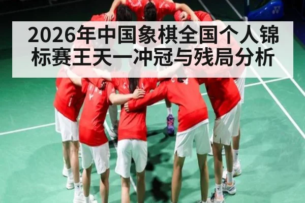2026年中国象棋全国个人锦标赛王天一冲冠与残局分析（hth）